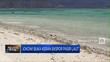 Susi Pudjiastuti Minta Jokowi Batalkan Izin Ekspor Pasir Laut