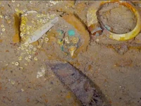 Geger Kalung Emas Gigi Hiu Ditemukan di Bangkai Kapal Titanic