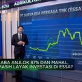 Laba Anjlok 87% & Valuasi Mahal, Saham ESSA Layak Koleksi?