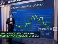 Laba Anjlok 87% & Valuasi Mahal, Saham ESSA Layak Koleksi?