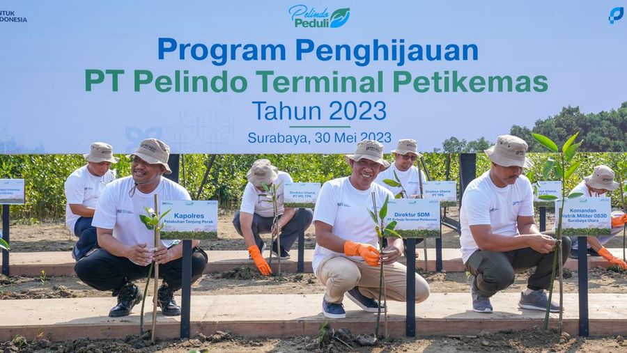 Program Penghijauan Pelindo Petikemas