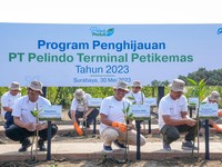 Pelindo Petikemas Hijaukan Area Pelabuhan, Pakai Apa?