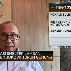 Ditegur Jokowi, Pengusaha Ungkap Masalah Pembangunan Smelter