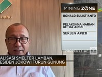Ditegur Jokowi, Pengusaha Ungkap Masalah Pembangunan Smelter
