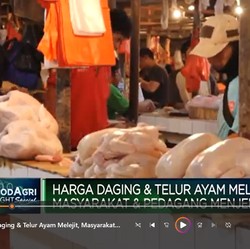 Video: Harga Daging & Telur Ayam Melejit, Pedagang Menjerit!