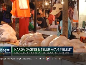 Video: Harga Daging & Telur Ayam Melejit, Pedagang Menjerit!