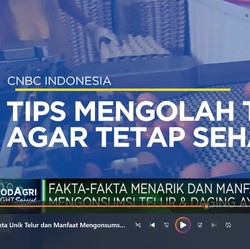 Fakta-Fakta Unik dan Manfaat Mengonsumsi Telur & Daging Ayam