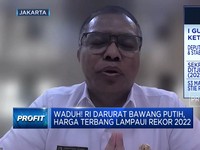 Harga Bawang Putih Melambung, Efek RI Masih Tergantung Impor?