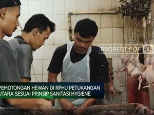 Harga Daging Dan Telur Ayam Selangit, Yuk Cari Tahu Sumbernya