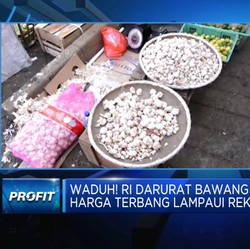 Pedagang Menjerit, Harga Bawang Putih Tembus Rp 50 Ribu/Kg