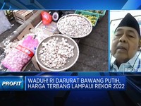 Pedagang Menjerit, Harga Bawang Putih Tembus Rp 50 Ribu/Kg