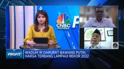 Video: RI Masih Andalkan Bawang Putih Impor, Apa Solusinya?