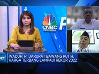 Video: RI Masih Andalkan Bawang Putih Impor, Apa Solusinya?