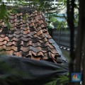 Alasan Rumah Bisa Cepat Rusak Jika Lama Tak Dihuni
