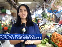 Video: Pantauan Harga Bahan Pokok Menjelang Iduladha