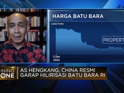 Hilirisasi Batubara RI Digarap China, Ini Kata Pengusaha