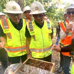 Lahan Bekas Tambang Ini Disulap Jadi Budi Daya Lebah Terbaik