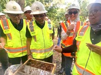 Lahan Bekas Tambang Ini Disulap Jadi Budi Daya Lebah Terbaik