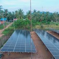 Perkuat Kelistrikan Daerah, PLN Kembangkan PLTS di Sambas