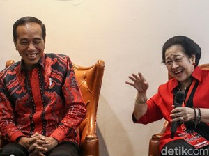 Cerita Hasto tentang Sikap Ranting PDIP soal Rencana Jokowi-Mega Bertemu