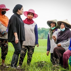 Puan Buka-bukaan Rencana Bertemu AHY, Bahas Cawapres Ganjar?