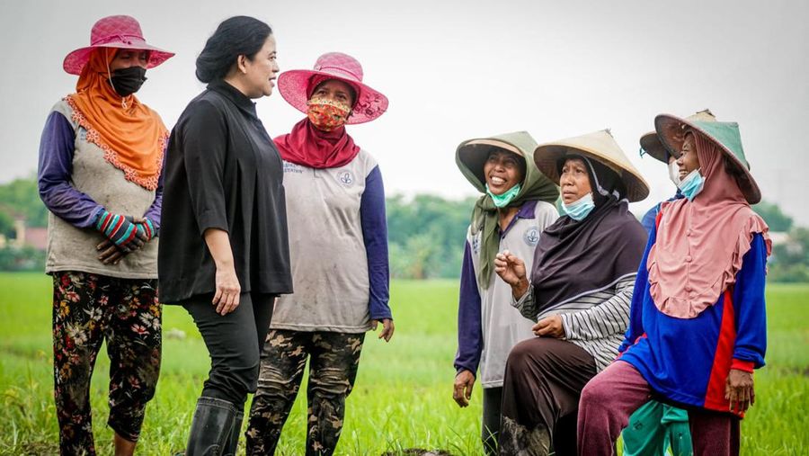 Puan Maharani (Dokumentasi DPP PDIP)