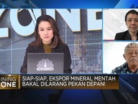 Penambang Soal 5 Perusahaan Lolos Larangan Ekspor Mineral