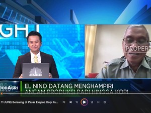El Nino Mengancam, Petani Kopi Juga Sulit Dapat Pupuk & KUR