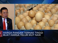 Bunda, Ini Lho Penyebab Harga Pangan Naik