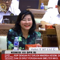 DPR Panggil Para Bos Smelter Nikel, Ada Apa?