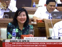 DPR Panggil Para Bos Smelter Nikel, Ada Apa?