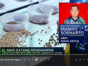 Efek El Nino, Produksi Kopi RI 2023 Diproyeksi Anjlok 30%