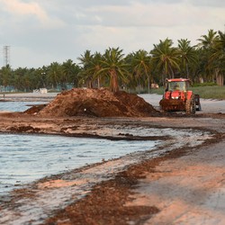RI Jual 50 Juta Meter Kubik Pasir Laut, Negara Cuan Rp 2,5 Triliun