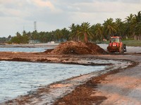 RI Jual 50 Juta Meter Kubik Pasir Laut, Negara Cuan Rp 2,5 Triliun