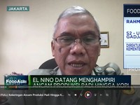 Kekeringan Ancam Produksi Padi & Kopi, Kementan Siagakan Ini!