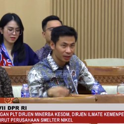 Rapat Pakai Bahasa Asing, Bos Smelter Nikel Kena Semprot DPR