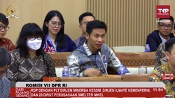 Rapat Pakai Bahasa Asing, Bos Smelter Nikel Kena Semprot DPR