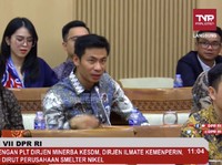 Rapat Pakai Bahasa Asing, Bos Smelter Nikel Kena Semprot DPR