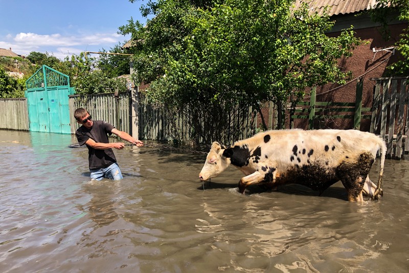 Tim penyelamat mengevakuasi seorang wanita dengan anjingnya di daerah banjir kota pada 7 Juni 2023 di Kherson, Ukraina. Tim penyelamat mengevakuasi seorang wanita dengan anjingnya di daerah banjir kota pada 7 Juni 2023 di Kherson, Ukraina. Akibat rusaknya bendungan Kakhovka, sekitar 80 pemukiman, termasuk Kherson, terancam banjir. Pihak berwenang dan sukarelawan mulai mengevakuasi penduduk dari daerah berbahaya. (Yan Dobronosov/Global Images Ukraine via Getty Images)