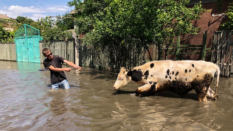 Tim penyelamat mengevakuasi seorang wanita dengan anjingnya di daerah banjir kota pada 7 Juni 2023 di Kherson, Ukraina. Akibat rusaknya bendungan Kakhovka, sekitar 80 pemukiman, termasuk Kherson, terancam banjir. Pihak berwenang dan sukarelawan mulai mengevakuasi penduduk dari daerah berbahaya. (Yan Dobronosov/Global Images Ukraine via Getty Images)