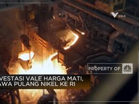 Divestasi Vale Harga Mati, Bawa Pulang Nikel ke RI