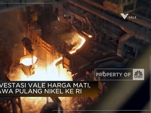 Divestasi Vale Harga Mati, Bawa Pulang Nikel ke RI