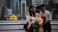 Heboh Penampakan Dua Bebek 'Raksasa' Berenang Di Hong Kong - Foto 2