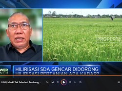 Hilirisasi Pertanian, RI Punya 'Harta Karun' Tersembunyi Ini