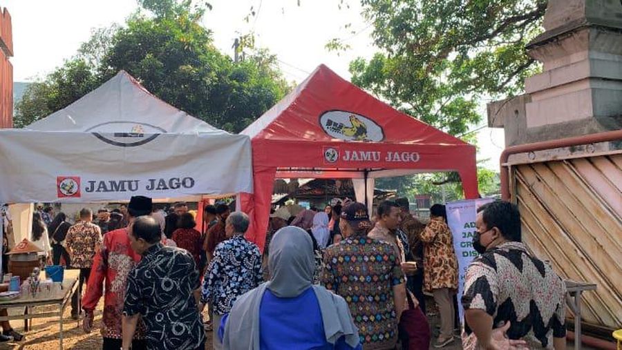 Jamu Jago