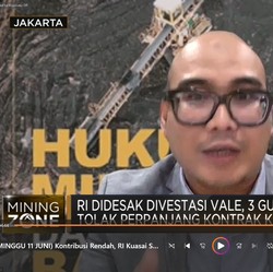 Kontribusi Rendah, RI Kuasai Saham Vale Sudah Mendesak!