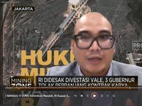 Tak Digarap Optimal, Luas Tambang Vale Bisa 'Dihabisi'