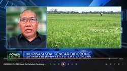 Tak Seheboh Tambang, Hilirisasi Pertanian Semakin Berkembang