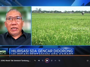 Tak Seheboh Tambang, Hilirisasi Pertanian Semakin Berkembang