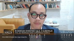MIND ID Divestasi Vale, Jangan Dikuasai Perusahaan Cangkang!